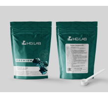 Экстракт Кордицепса 80:1 100г HGLab + ложка